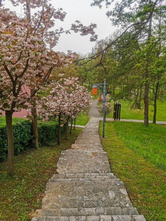 Apartman Japanski Vrt, Centar Vrnjacka Banja Exterior photo